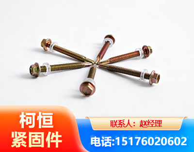 眉山六角钻尾丝